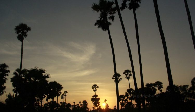 Matahari Pagi di TWA Pulau Menipo
