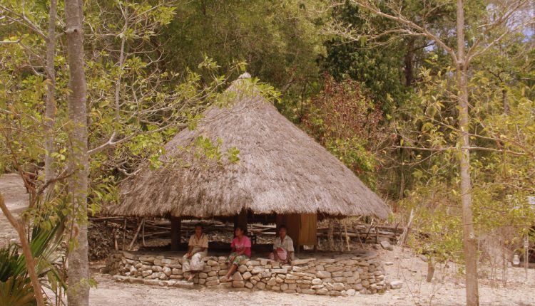 Para Perempuan Boti - Timor